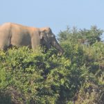 WhatsApp Image 2020 12 20 at 7.16.43 AM TEKNAF TODAY - সীমান্তের সর্বশেষ খবর