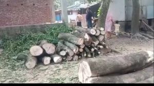 চকরিয়ায় ৯ ভাইয়ের পরিবারের বিরুদ্ধে একমাত্র বোনের বসত-ভিটার গাছ কেটে লুটের অভিযোগ 1 Screenshot 2022 12 18 15 44 43 560 com.facebook.orca 2 TEKNAF TODAY - সীমান্তের সর্বশেষ খবর