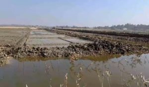 চকরিয়ায় মৎস্য প্রকল্পের হামলা: দুই কর্মচারীকে অস্ত্রের মুখে জিন্মি করে ৫লাখ টাকার মালামাল লুট 1 Screenshot 2023 01 07 16 08 24 865 com.facebook.katana 2 TEKNAF TODAY - সীমান্তের সর্বশেষ খবর