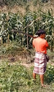 2 2 TEKNAF TODAY - সীমান্তের সর্বশেষ খবর