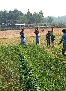 3 2 TEKNAF TODAY - সীমান্তের সর্বশেষ খবর