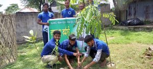 লেমশীখালী ইয়ুথ ফোরামের দুই দিনব্যাপী বৃক্ষরোপন কর্মসূচী পালিত 1 IMG 20220825 WA0054 TEKNAF TODAY - সীমান্তের সর্বশেষ খবর