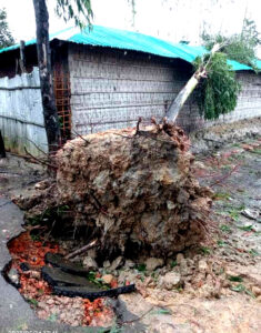 হ্নীলা মৌলভী বাজারে সড়কের গাছ কর্তনস্থল পরিদর্শনে ইউএনও ; সমিলের গাছ জব্দ করে নিলাম ও গাছ কাটায় জড়িতদের বিরুদ্ধে নিয়মিত মামলার নির্দেশ 4 zero TEKNAF TODAY - সীমান্তের সর্বশেষ খবর